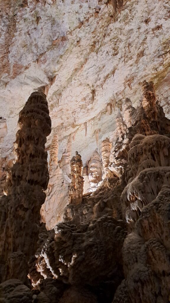 Stalaktyty Postojnska Jama
